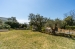 AWCACP1224_30602_V0_0619.jpg