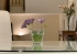 44-a9b00fef606e1a421f9431575315bbcb.jpg